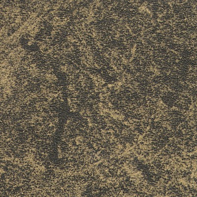 336.400x0.jpg